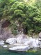 Waterfall_028.jpg