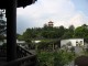 A_view_of_the_Bonsai_Garden_from_the_pavilion_on_a_hill_top.jpg