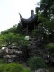 A_view_up_towards_the_pavilion_on_a_hill_top_at_the_Bonsai_Garden.jpg