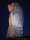 The_Giant_Merlion_at_Sentosa_Island_Resort_at_night_where_its_eyes_glow_and_scales_sparkle.jpg