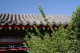 _White_Cloud_Temple_in_China_008.jpg