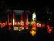 A_view_of_the_Classical_Chinese_garden_in_light_from_the_paper_pavilion_end_of_the_display.jpg