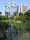 The_Lippo_Centre_in_Admiralty_being_reflected_by_the_lake_in_Hong_Kong_Park.jpg