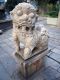 The_female_guard_lion_with_cub_on_the_left-hand_side_of_Tin_Hau_Temple.jpg