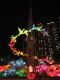 The_lantern_display_titled_The_Tower_of_Dreams_in_Kowloon_Park_take_1.jpg