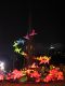The_lantern_display_titled_The_Tower_of_Dreams_in_Kowloon_Park_take_2.jpg
