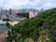 The_view_of_Kowloon_and_Hong_Kong_Island_from_my_uncles_flat_in_Lok_Fu_take_2_of_2.jpg