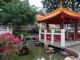 A_pavilion_by_small_pond_inside_the_gardens_of_the_Po_Fook_Hill_Ancestral_Halls.jpg