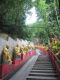 Bamboo_forest_and_subtropical_jungle_line_the_way_up_to_The_Ten_Thousand_Buddhas_Monastery.jpg