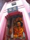 The_Buddha_inside_the_main_Pagoda_at_Po_Fook_Hill_Ancestral_Halls.jpg