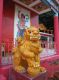 The_female_guard_lion_with_globe_and_cub_on_her_back_on_the_left-hand_side_of_the_Kwun_Yam_Temple.jpg