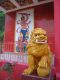 The_male_guard_lion_with_globe_on_the_right-hand_side_of_the_Kwun_Yam_Temple.jpg