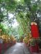 The_pathway_to_The_Ten_Thousand_Buddhas_Monastery_cuts_through_a_forest_of_bamboo.jpg