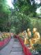 The_way_up_to_The_Ten_Thousand_Buddhas_Monastery_seems_to_go_on_and_on.jpg