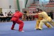 Europe_Wushu_Championships_2008_023.jpg