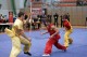 Europe_Wushu_Championships_2008_024.jpg