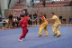 Europe_Wushu_Championships_2008_025.jpg
