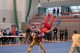Europe_Wushu_Championships_2008_026.jpg