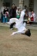 _Hong_Kong_International_Wushu_Competitions_The_Last_day_011.jpg
