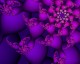 purple-gourds-12.jpg